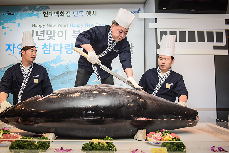 동원산업이 2017년 국내 최초로 잡아 들여온 고위도 북대서양 참다랑어